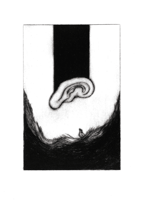 L'oiseau