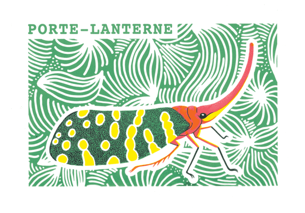 Porte lanterne