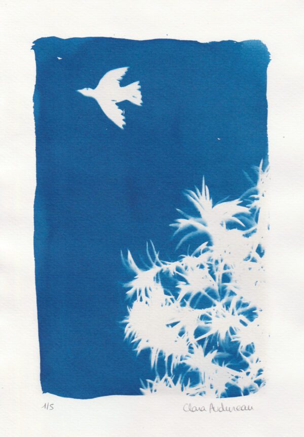 Oiseau – Image 2