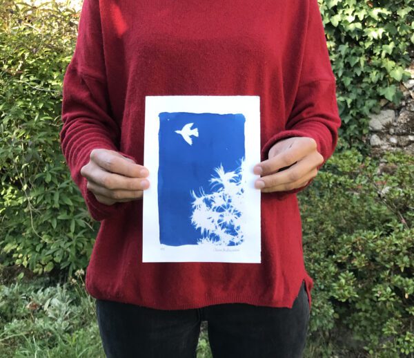 Oiseau – Image 3