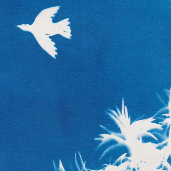 Oiseau