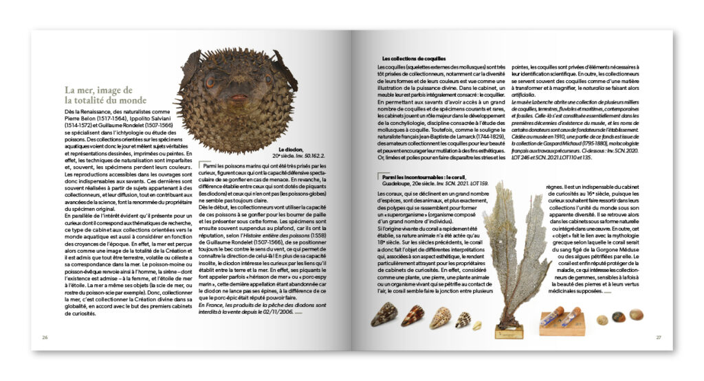 Catalogue de l'exposition Curiosité(s) du Musée Labenche - extrait 5