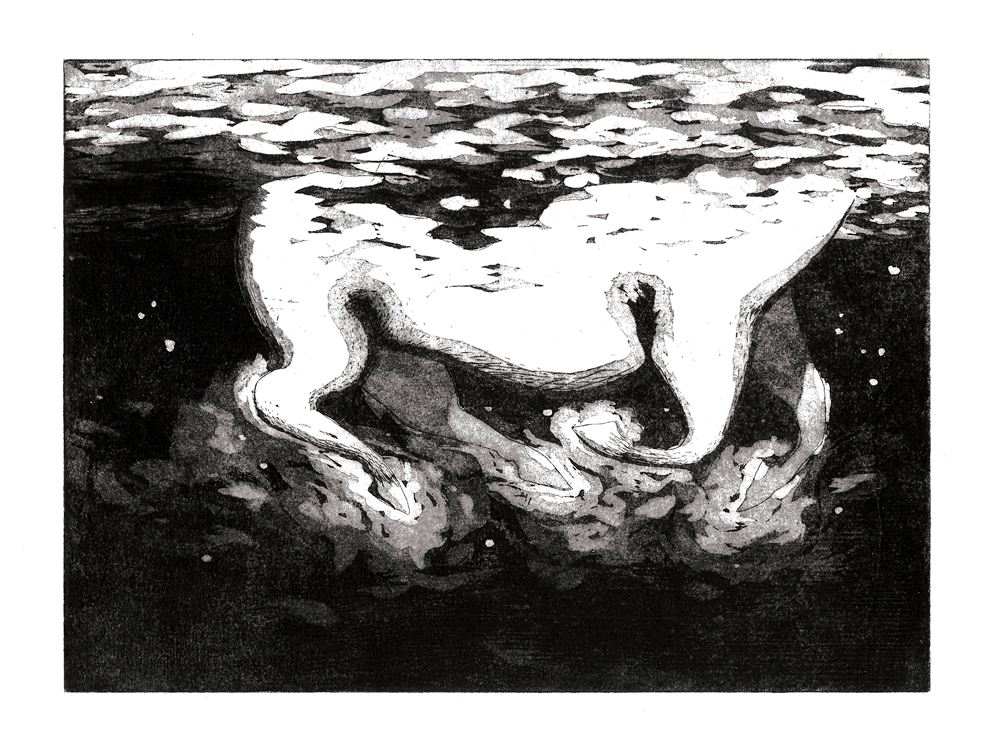Gravure à l'eau forte de Clara Audureau intitulée Cheval de la mer sur fond noir, 2022.